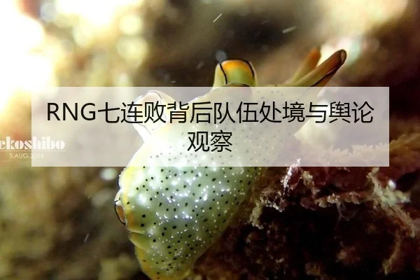 RNG七连败背后队伍处境与舆论观察